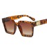 Dámské sluneční brýle E1343 leopardí