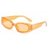 Dámské sluneční brýle E1356 oranžová