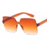 Dámské sluneční brýle E1372 7