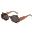 Damskie okulary przeciwsłoneczne E1684 brązowy