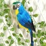 Dekorace papoušek C918 modrá