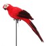 Dekorace papoušek červená