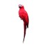 Dekorációs papagáj C497 piros