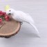 Dekorációs papagáj C918 fehér