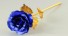 Dekorační růže J2866 modrá