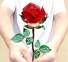 Dekoracyjna kryształowa róża czerwony