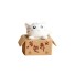 Dekoratív miniatűr macska egy dobozban fehér