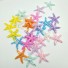 Dekoratív miniatűr tengeri csillag 10 db többszínű