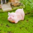 Dekorative Schweinchen-Miniatur 8