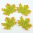 Dekoratívne javorové listy - 100 ks zelená