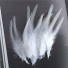 Dekoratívne kohútie perie 10-15 cm 50 ks biela