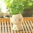 Dekoratívne kvetináč mačka 1