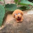 Dekoratívne miniatúra psíka oranžová