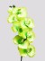 Dekoratívne umelé orchidey svetlo zelená