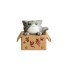 Dekorativní miniatura kočka v krabici šedá