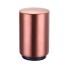 Deschizător de sticle cu magnet C418 roz vechi
