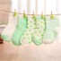 Detské ponožky 5 párov J876 zelená