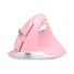 Ergonomische Maus Delux M618 Mini rosa