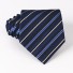 Férfi nyakkendő T1203 13