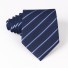 Férfi nyakkendő T1203 17