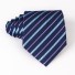 Férfi nyakkendő T1203 19