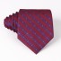 Férfi nyakkendő T1203 21