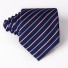 Férfi nyakkendő T1203 56