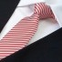 Férfi nyakkendő T1208 12