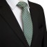 Férfi nyakkendő T1236 9