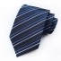 Férfi nyakkendő T1251 2