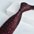 Férfi nyakkendő T1293 8