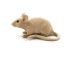 Figurka myszy A1067 1