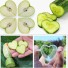 Forma na tvarování růstu ovoce a zeleniny J666 dlouhé srdce