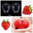 Forma na tvarování růstu ovoce a zeleniny J666 malé srdce