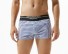 Gestreifte Herrenshorts blau