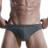 Herren-Bademode F905 grau