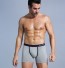 Herren-Boxershorts A1 hellgrau