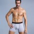 Herren-Boxershorts Fred 5