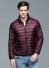 Herren-Daunenjacke F1075 weinrot