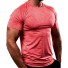 Herren Funktions-T-Shirt F1764 koralle