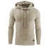 Herren-Hoodie F9 beige