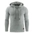 Herren-Hoodie F9 hellgrau