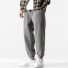 Herren-Jogginghose F1354 grau