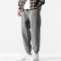 Herren-Jogginghose F1401 grau