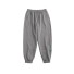 Herren-Jogginghose F1446 grau