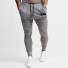 Herren-Jogginghose F1509 grau