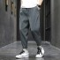 Herren-Jogginghose F1561 grau