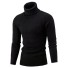 Herren-Rollkragenpullover F169 schwarz