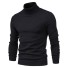 Herren-Rollkragenpullover F171 schwarz