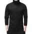 Herren-Rollkragenpullover F213 schwarz